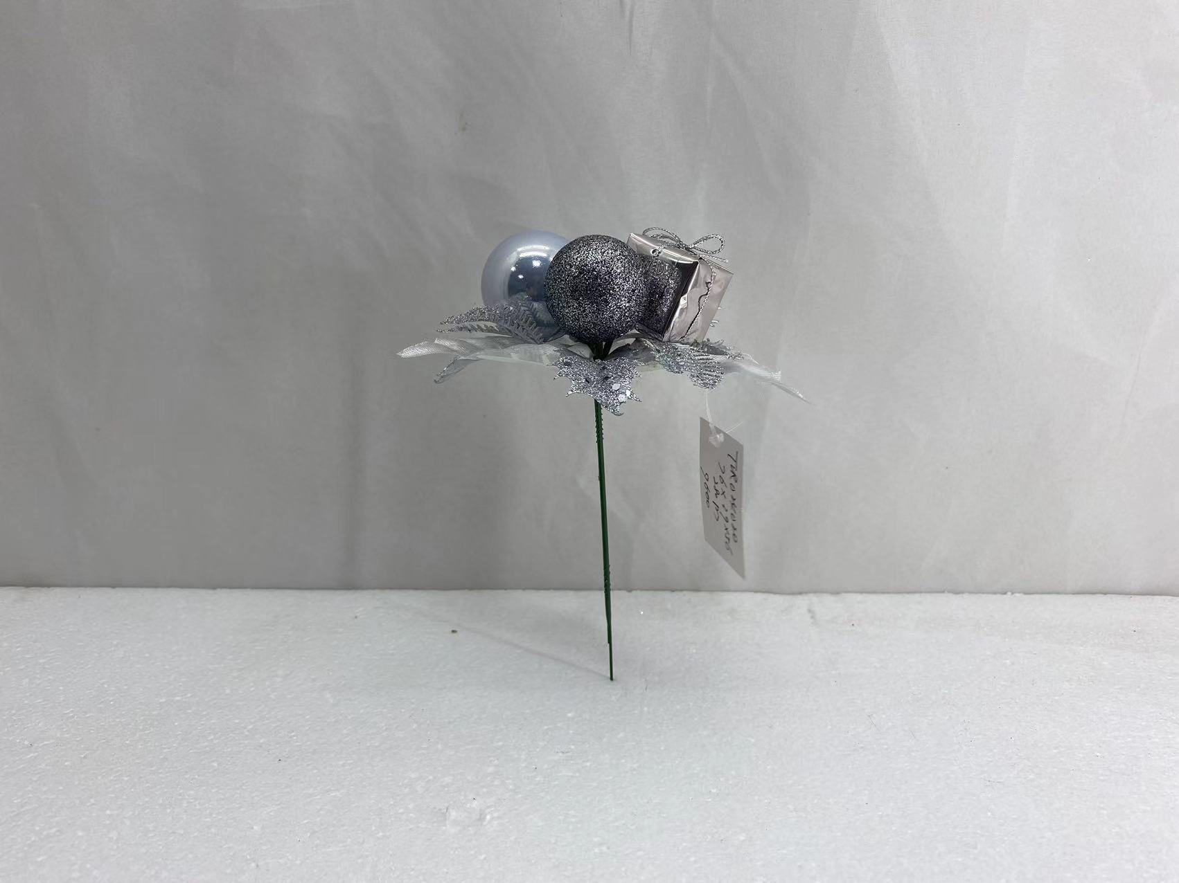 CHR 024020