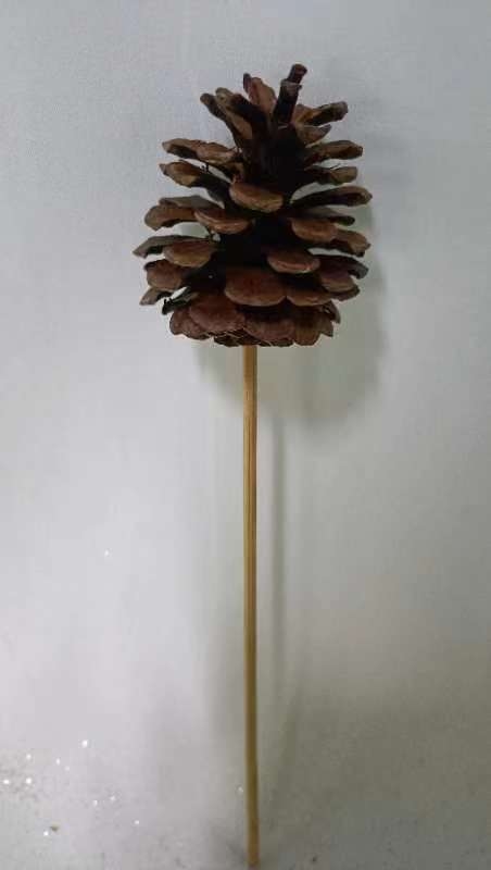 8039 Austrica natural 6inch wood stick