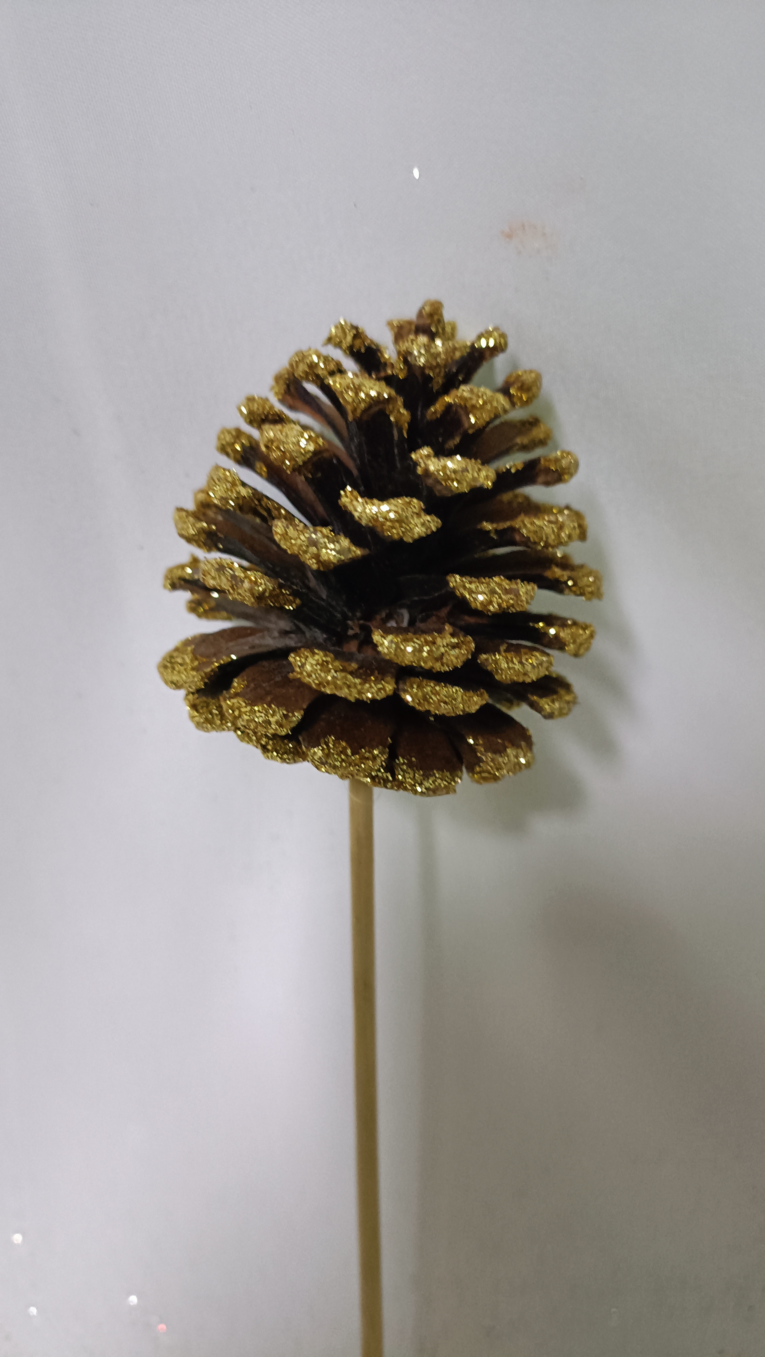 8045 Jersey gold 6inch wood stick