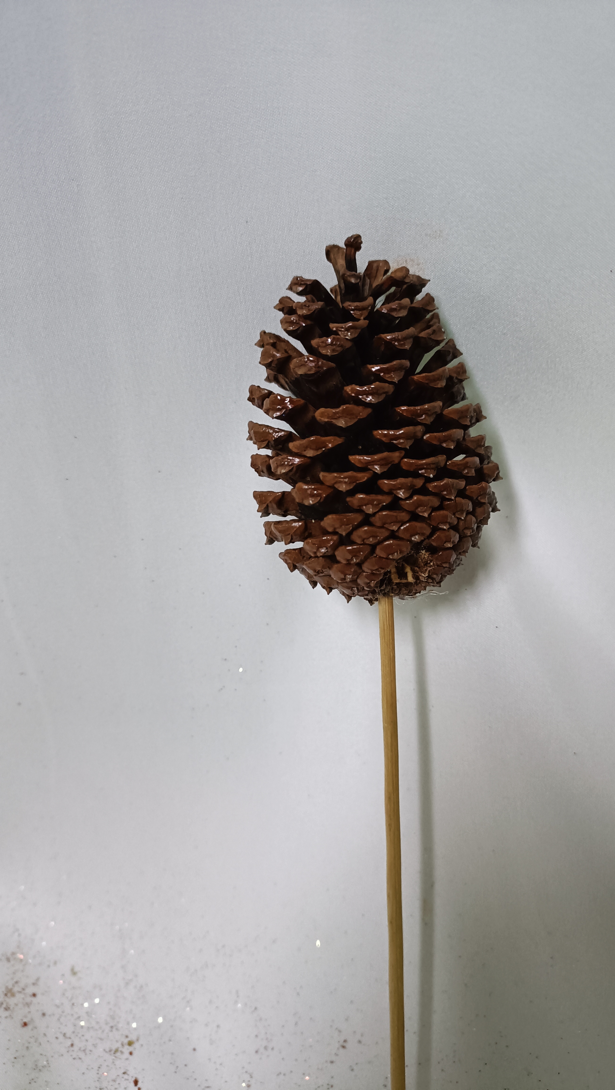 8048 Jersey natural 6inch wood stick