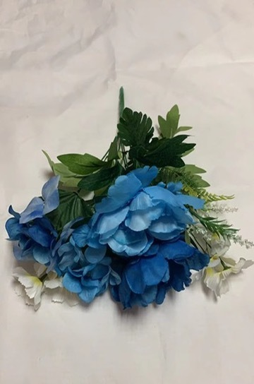 SPR 022116