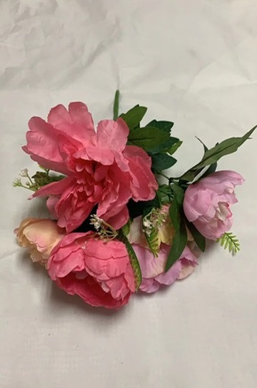 SPR 022117