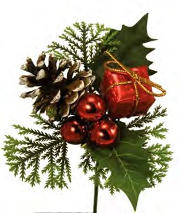 CEX5534 RED PINE CONE GIFT BOX PICK PK 24