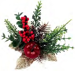 ED5190 NATURAL PICK W/APPLE PK 24