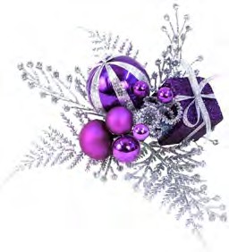 ED5192 PURPLE/SILVER PICK W/BOX/ BALLS PK 24