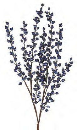 88803 33" WATERPROOF BLUE BERRY SPIKE PK. 6