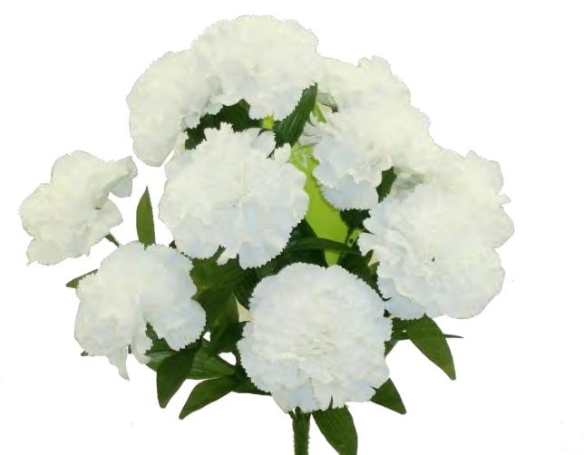 81230 WHITE 17" CARNATION BUSH X 11 PK 12