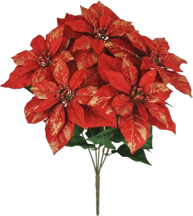 81153 RD Limited Quantity 22" CRUSH VELVET X 5 POINSETTIA PK 6