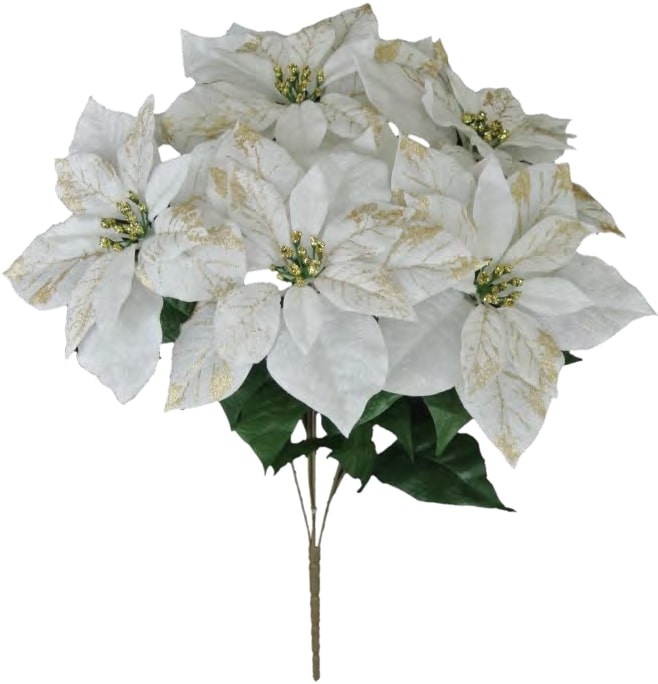 81153 WHT Limited Quantity 22" CRUSH VELVET X 5 POINSETTIA PK 6