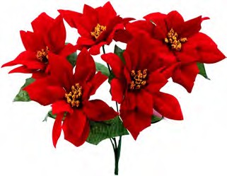GPB19838 RED POINSETTIA BUSH X 5 PK 24