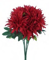 B0753RED Call for other colors FUJI MUM X 7 PK 12