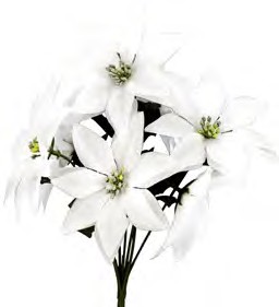 1100 WHT POINSETTIA BUSH PK 24
