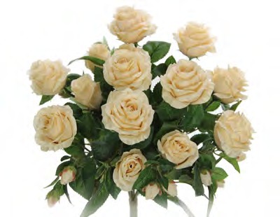 GPB7338-CHMP ROSE BUSH X 5 W/15 FLOWERS PK 6