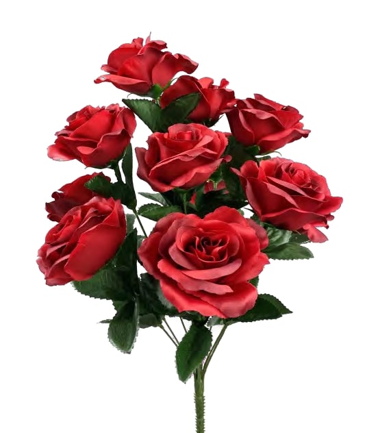30388RDBL OPEN ROSE BUSH X 12 PK 12