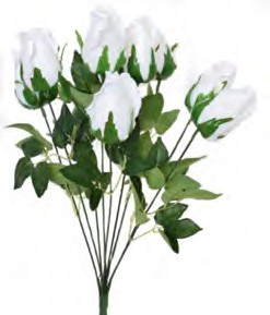 B17208 WHT 19" ROSEBUD X 9 PK 12