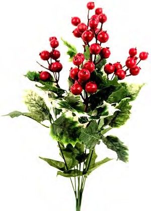 GPB19806-VAR HOLLY BUSH W/ BERRY X 6 PK 12