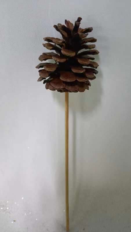 8039 Austrica natural 6inch wood stick