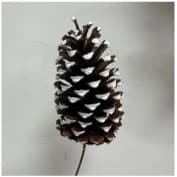 SLASH CONE FROSTED PLASTIC PICK