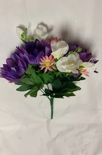 SPR 022115