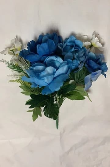 SPR 022116