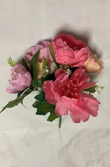 SPR 022117
