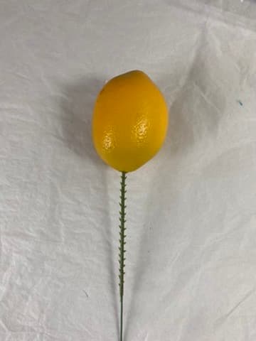 SPR 022121