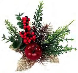 ED5190 NATURAL PICK W/APPLE PK 24