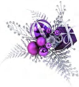 ED5192 PURPLE/SILVER PICK W/BOX/ BALLS PK 24