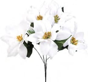GPB19838 WHT POINSETTIA BUSH X 5 PK 24