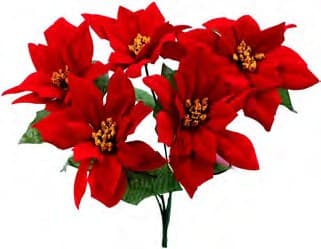 GPB19838 RED POINSETTIA BUSH X 5 PK 24