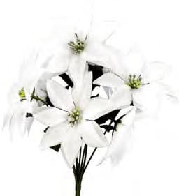 1100 WHT POINSETTIA BUSH PK 24