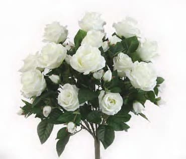GPB7338-WHT ROSE BUSH X 5 W/15 FLOWERS PK 6