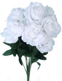 30388WHT OPEN ROSE BUSH X 12 PK 12