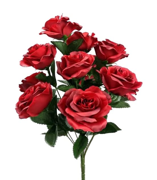 30388RDBL OPEN ROSE BUSH X 12 PK 12