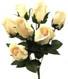B17208 CHAMP 19" ROSEBUD X 9 PK 12