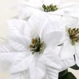 CP3715 CREAM 15" VELVET POINSETTIA BUSH x 5 PK 12
